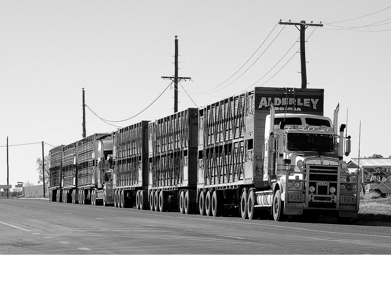 What Is the FMCSA Road Test