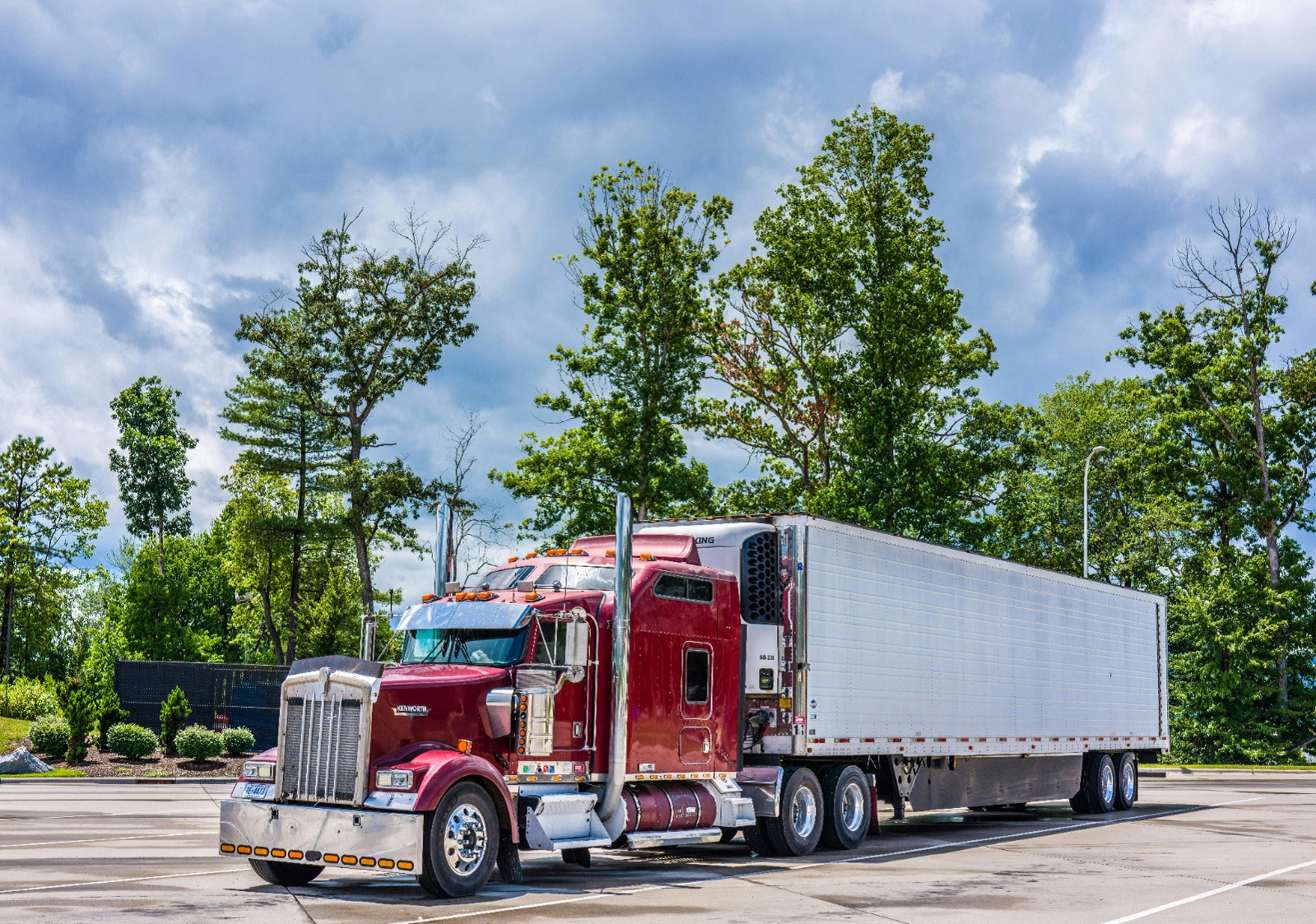 FMCSA MC NUMBER