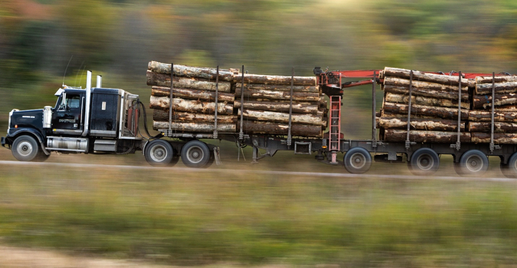 Passing Your Next Safety Audit Why Carriers Rely on Trucking Compliance Service Providers